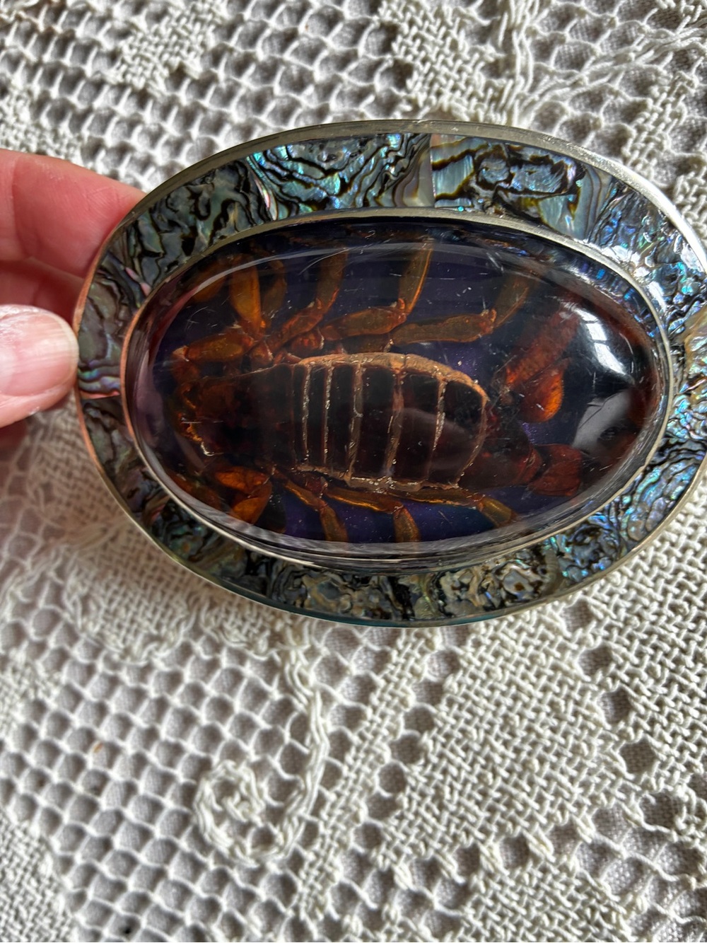 Vintage Alpaca Silver Real Scorpion in Resin Abalone Shell Inlay 4" Belt Buckle
